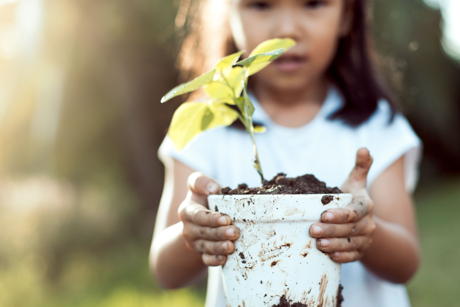 Cute asian little child girl holding young tree in pot for prepare plant on ground